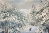 Umberto Lilloni, Sciatore tra gli alberi