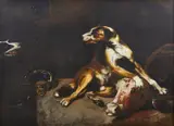 Frans Snyders, Bottega di. Due cani che si contendono una testa di bue