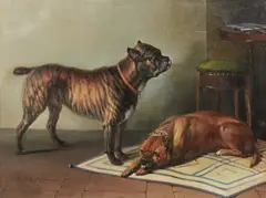 Faustino Joli, Molossi