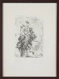 Giulio Vito Musitelli, Senza titolo, print (other)