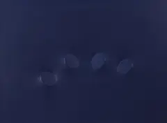 Turi Simeti, Quattro ovali in blu