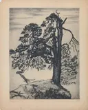 Guido Balsamo Stella, Vierter Zustand Prote n 5, print (other)