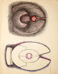 Andrea Cascella, Senza titolo