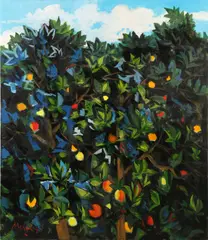 Renzo Meschis, Aranceto