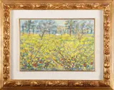 Michele Cascella, Campo di ginestre