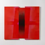 Alberto Biasi, Autentica ambiguità