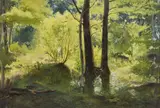 Luigi Chialiva, Paesaggio boschivo