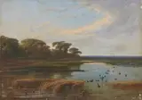 Gaetano Fasanotti, Volo di anatroccoli