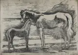Carlo Carrà, Cavalli