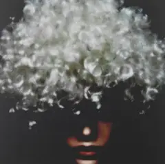 James Lang, Senza titolo, photograph
