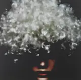 James Lang, Senza titolo, photograph