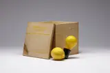 Joseph Beuys, Capri-Batterie, 1985, Multiple comprising light bulb (Mazda) with manufacturer's inkstamp, plug socket, and exchangeable lemon,