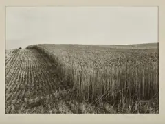 George Tatge, Umbria, photograph