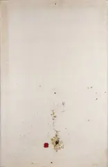 Claudio D'Angelo, Senza titolo