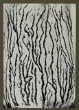 Les Voies lactées by Man Ray, photograph, sold Jul 2021