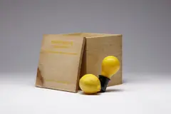 Joseph Beuys, Capri-Batterie, 1985, Multiple comprising light bulb (Mazda) with manufacturer's inkstamp, plug socket, and exchangeable lemon,