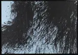 Hans Hartung, T1981-H3