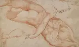 Marcello Venusti, Seguace di. Studio di nudo maschile