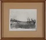 Luigi Bartolini, Il campo di grano, print (other)
