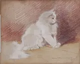 Gabriella Rainer Istuanffy, Gatto