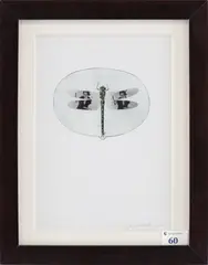 Fernando Andolcetti, Senza titolo