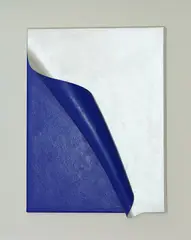 Antonio Baccarin, Senza titolo