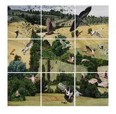 Jeffrey Isaac, Passage of birds