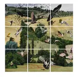 Jeffrey Isaac, Passage of birds