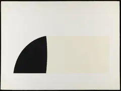 Bianco e nero by Alberto Burri, print (other), sold Dec 2020