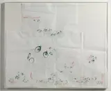 Takashi Murakami, Champagne supernova Tm-0233