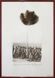 Claudio Costa, Le piume come radici del leggero, print (other)