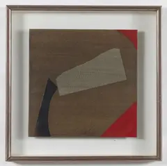 Sergio Dangelo, La bandiera