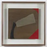Sergio Dangelo, La bandiera
