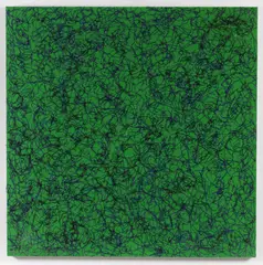 Roberto Ardovino, Cobweb green