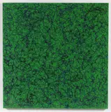 Roberto Ardovino, Cobweb green