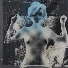 Rolando Pellini, Senza titolo