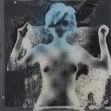 Rolando Pellini, Senza titolo