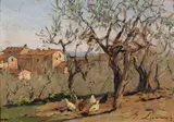 Giovanni Lomi, Ulivi