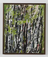 Gina Maffei, Contrasto