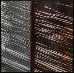 Pino Colla, Armonia vegetale, photograph