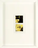Maurizio Galimberti, BiFlowers