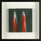 Ennio Finzi, Il verso del colore