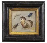 Jacob Vosmaer, Studio di Insetti