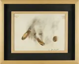 Bernard Aubertin, Dessin de feu