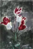 Guido Tallone, Tulipani