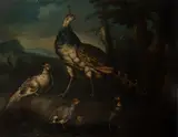 Giovanni Crivelli Detto Il Crivellino, Pavoni in un paesaggio