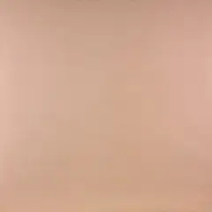 Jorrit Tornquist, OP1010E