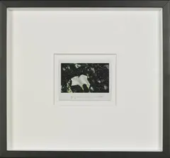 Studio Flowers by Maurizio Galimberti, photograph, sold Feb 2019