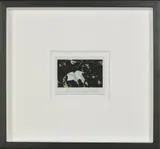Studio Flowers by Maurizio Galimberti, photograph, sold Feb 2019
