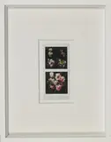 Biflowers by Maurizio Galimberti, photograph, sold Feb 2019